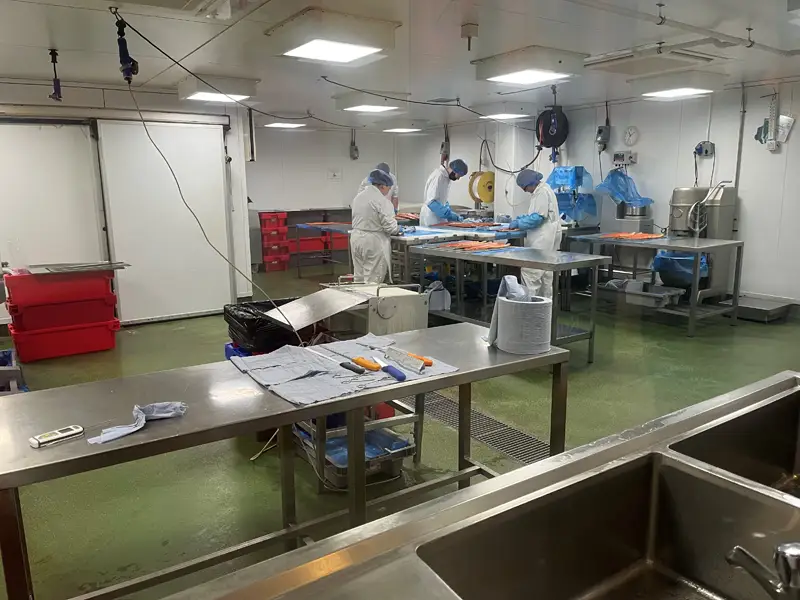 Four people are preparing to smoke salmon on North Uist