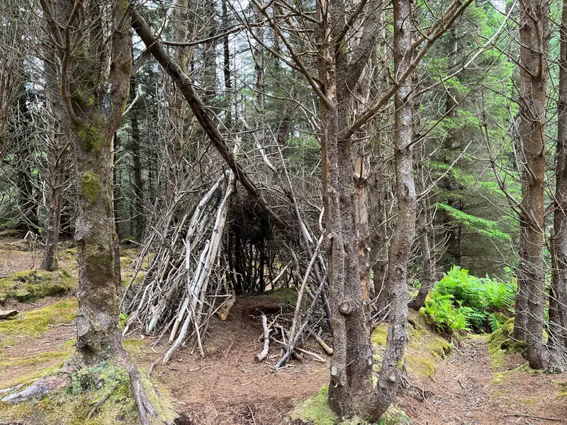 A tent made from sticks in Langass Woods on North Uist
