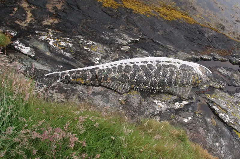 On a rock by the shore is a black and white mackerel sculpture made from mosaics